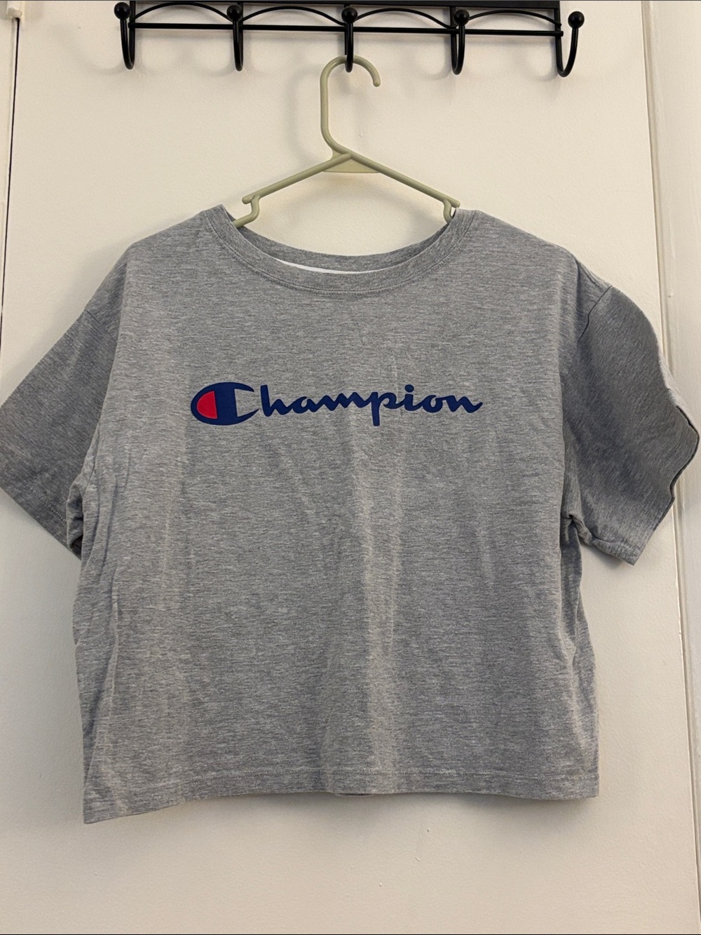 Champion Gray Crop Tee with Navy & Red Logo